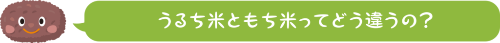 うるち米ともち米ってどう違うの?