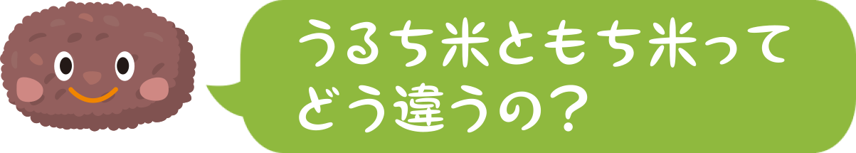 うるち米ともち米ってどう違うの?